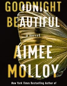 Goodnight Beautiful By Aimee Molloy Release Date? 2020 Mystery Thriller Releases
