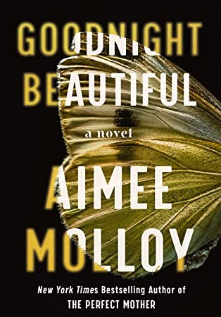 Goodnight Beautiful By Aimee Molloy Release Date? 2020 Mystery Thriller Releases