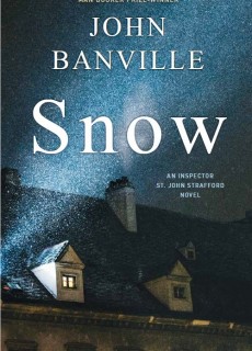 When Will Snow By John Banville Release? 2020 Literary Fiction & Mystery Releases