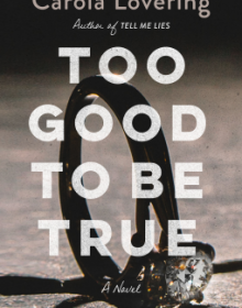 When Will Too Good To Be True By Carola Lovering Come Out? 2020 Mystery Releases