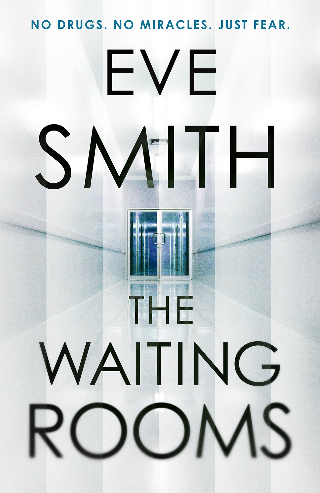The Waiting Rooms by Eve Smith