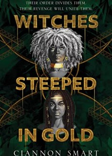 When Will Witches Steeped In Gold By Ciannon Smart Release? 2021 YA Fantasy Releases