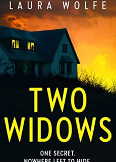 Two Widows By Laura Wolfe Release Date? 2020 Psychological Thriller Releases