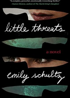 Little Threats By Emily Schultz Release Date? 2020 Mystery Thriller Releases
