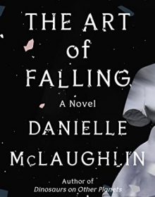 The Art Of Falling By Danielle McLaughlin Release Date? 2021 Fiction Releases