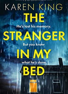 The Stranger In My Bed By Karen King Release Date? 2020 Fiction Releases