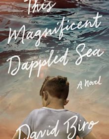 When Will This Magnificent Dappled Sea By David Biro Release? 2020 Historical Fiction