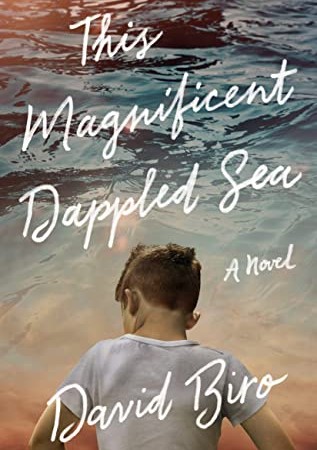 When Will This Magnificent Dappled Sea By David Biro Release? 2020 Historical Fiction