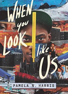 When You Look Like Us By Pamela N. Harris Release Date? 2021 YA Thriller Releases