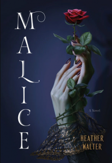 When Will Malice By Heather Walter Release? 2021 YA LGBT Fantasy & Romance