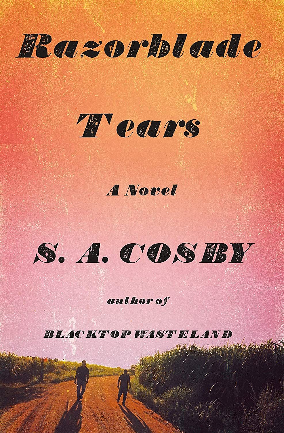 When Does Razorblade Tears By S.A. Cosby Come Out? 2021 Thriller Releases
