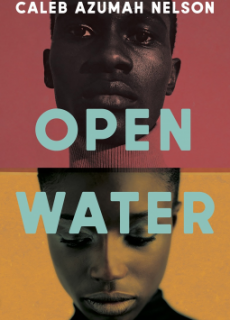 Open Water By Caleb Azumah Nelson Release Date? 2021 Debut Releases